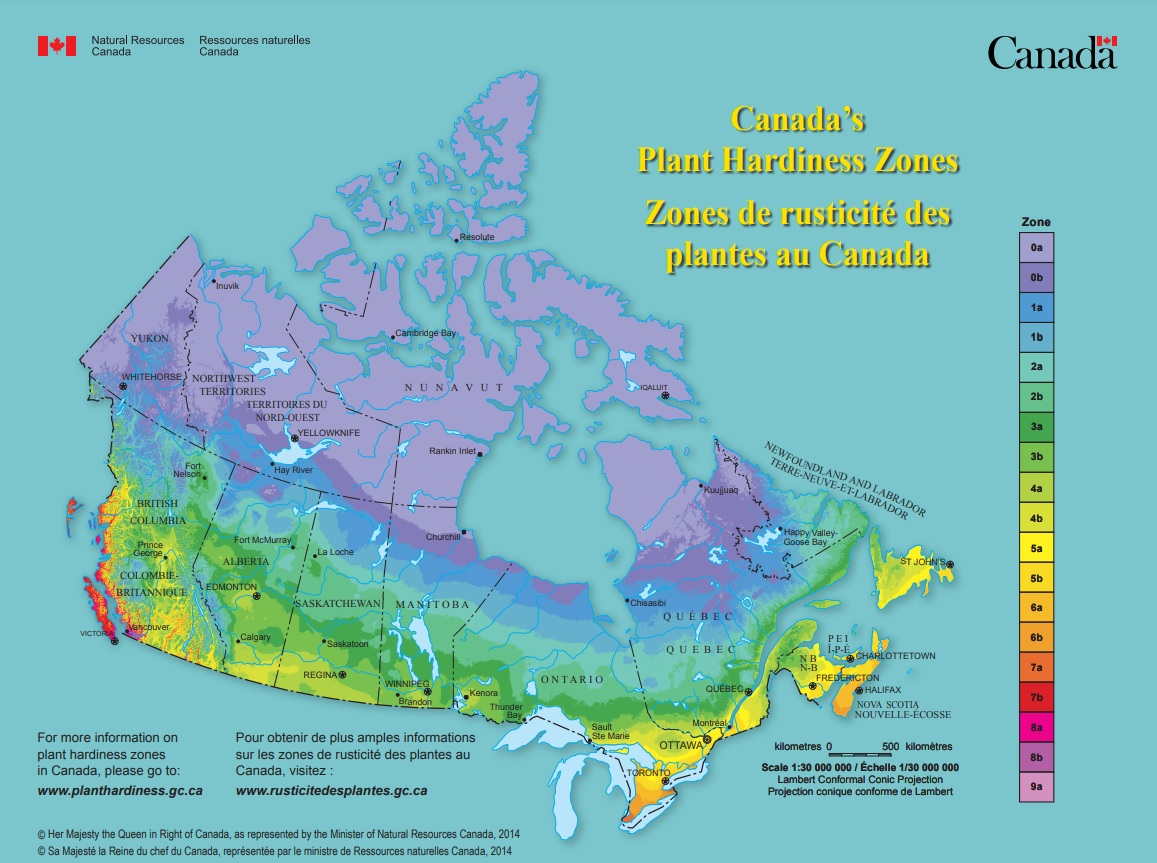 plant hardiness zone map canada http://planthardiness.gc.ca/?m=1